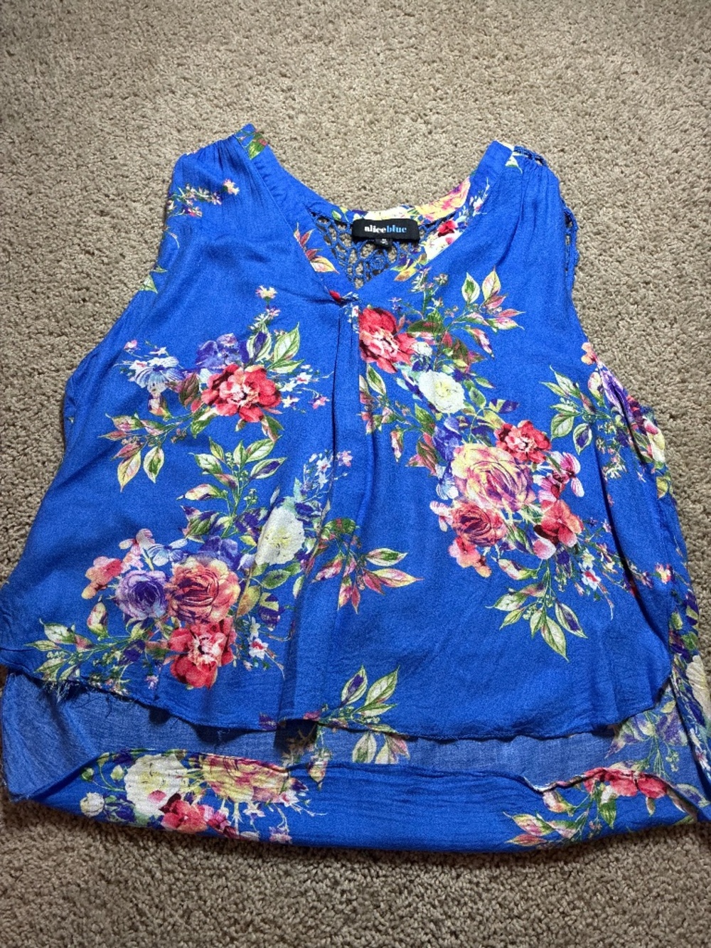 women’s alice blue top
